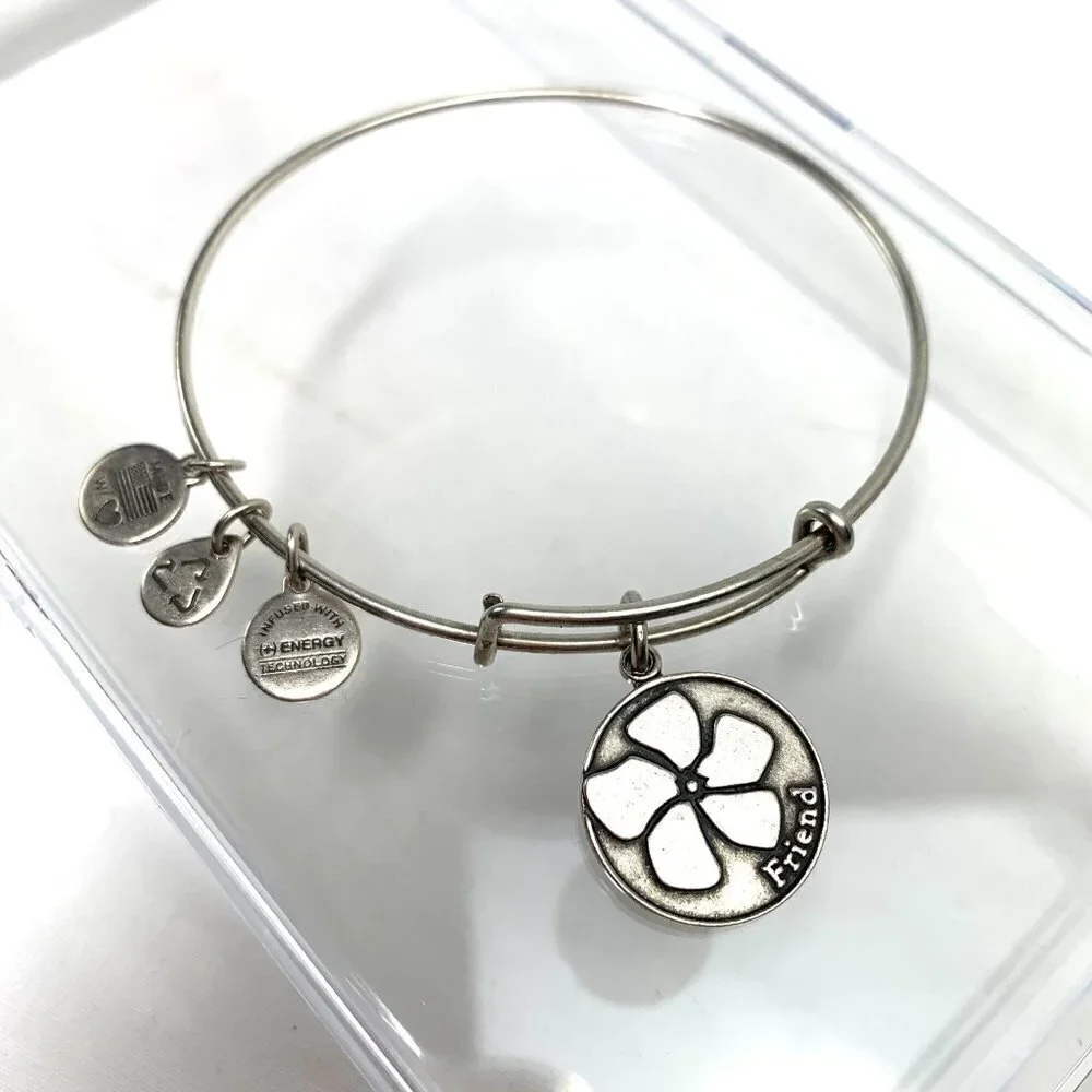 Alex and Ani Friend Charm Bracelet - Silver Finish Expands 2